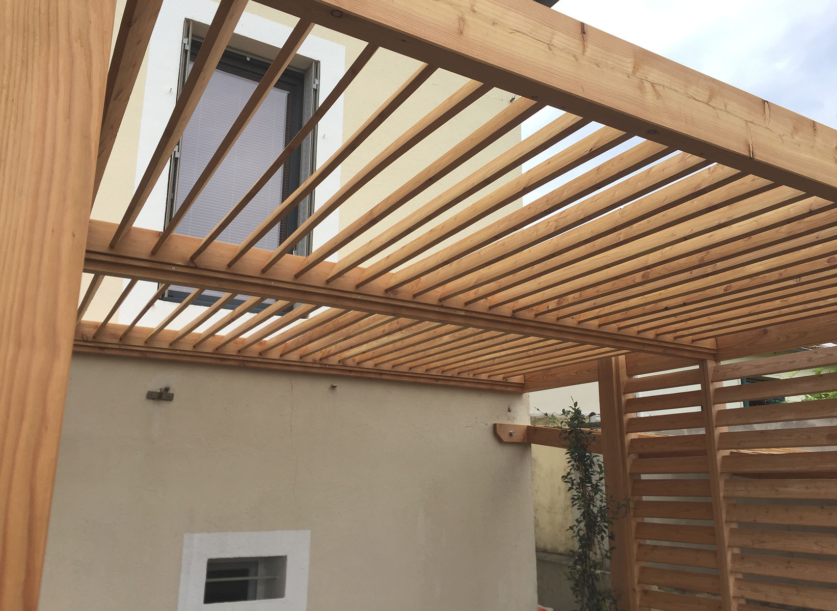Pergola — Mélèze.